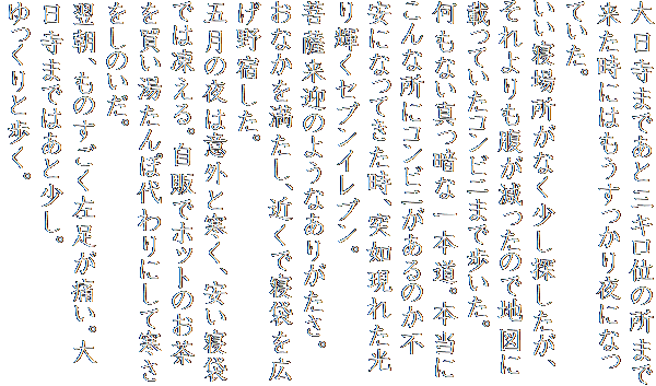 大日寺まであと三キロ位の所まで来た時にはもうすっかり夜になっていた。
いい寝場所がなく少し探したが、それよりも腹が減ったので地図に載っていたコンビニまで歩いた。
何もない真っ暗な一本道。本当にこんな所にコンビニがあるのか不安になってきた時、突如現れた光り輝くセブンイレブン。
菩薩来迎のようなありがたさ。
おなかを満たし、近くで寝袋を広げ野宿した。
五月の夜は意外と寒く、安い寝袋では凍える。自販でホットのお茶を買い湯たんぽ代わりにして寒さをしのいだ。
翌朝、ものすごく左足が痛い。大日寺まではあと少し。
ゆっくりと歩く。
