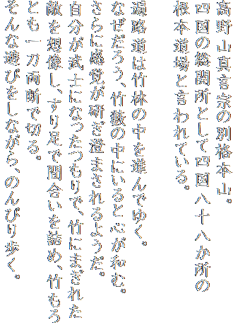 高野山真言宗の別格本山。
四国の総関所として四国八十八か所の
根本道場と言われている。

遍路道は竹林の中を進んでゆく。
なぜだろう、竹藪の中にいると心が和む。
さらに感覚が研ぎ澄まされるようだ。
自分が武士になったつもりで、竹にまぎれた敵を想像し、すり足で間合いを詰め、竹もろとも一刀両断で切る。
そんな遊びをしながら、のんびり歩く。