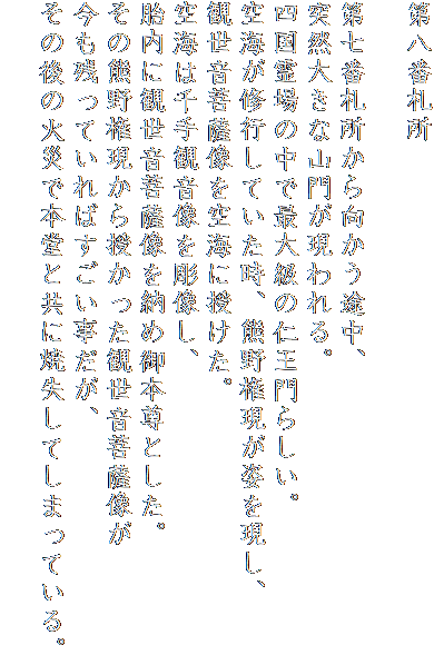 第八番札所

第七番札所から向かう途中、
突然大きな山門が現われる。
四国霊場の中で最大級の仁王門らしい。
空海が修行していた時、熊野権現が姿を現し、
観世音菩薩像を空海に授けた。
空海は千手観音像を彫像し、
胎内に観世音菩薩像を納め御本尊とした。
その熊野権現から授かった観世音菩薩像が
今も残っていればすごい事だが、
その後の火災で本堂と共に焼失してしまっている。
